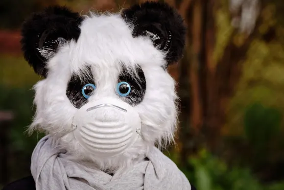 Υνιβετ Καζίνο Υποστηριξη